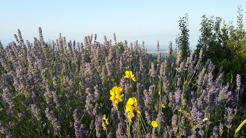 Frateria Di San Benedetto Villa Montepulciano Bagian luar foto